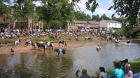 Appleby Horse Fair